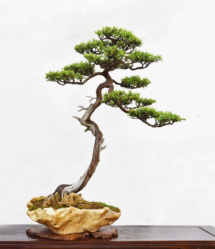 芮新华1.jpg