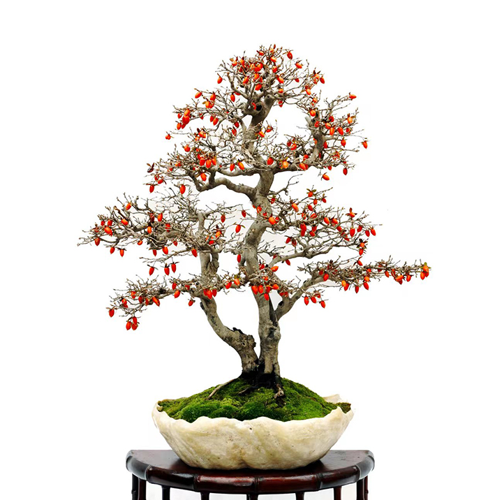 芮新华3.jpg