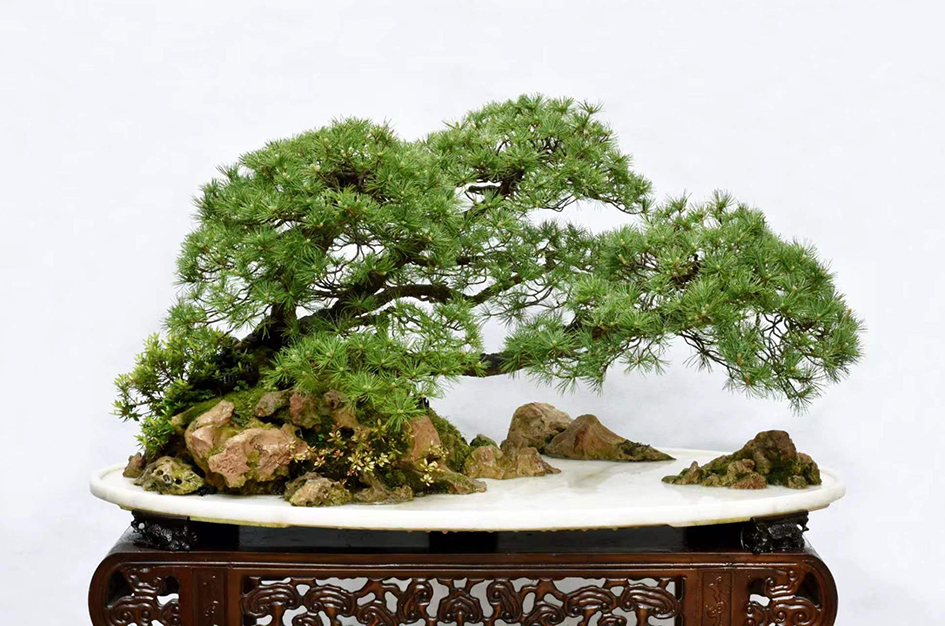 芮新华6.jpg