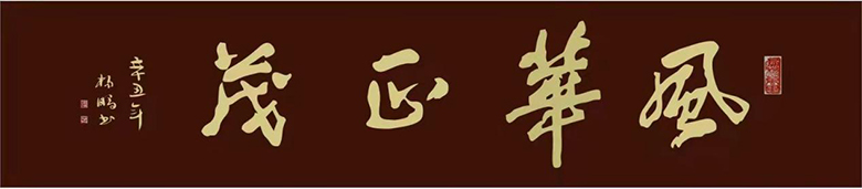 杨鹏.jpg